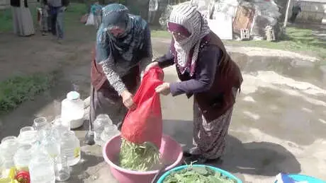 Muşlulardan 'Cağ' Otuna İlgi Muşlulardan 'Cağ' Otuna İlgi