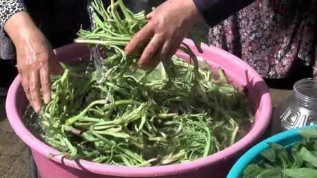 Muşlulardan 'Cağ' Otuna İlgi Muşlulardan 'Cağ' Otuna İlgi