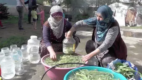 Muşlulardan 'Cağ' Otuna İlgi Muşlulardan 'Cağ' Otuna İlgi