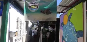IKBYden PYDye sert kınama IKBYden PYDye sert kınama