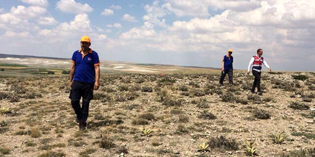 Bakanlık Eylül için açıklama yapmıştı... Bahçede kahreden hareketlilik