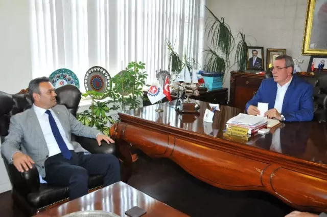 Murzioğlu: