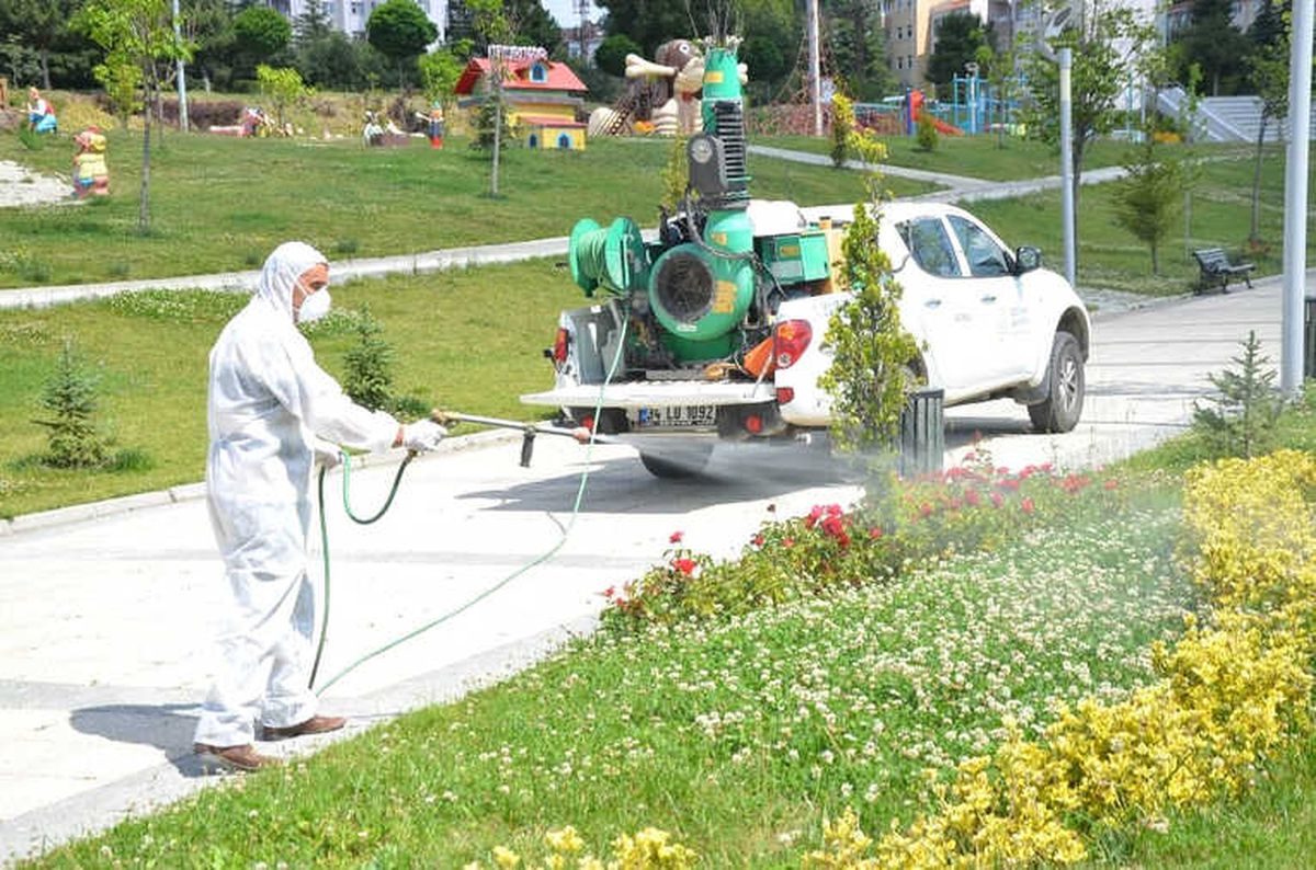 Et Yiyen Örümceğe Karşı Alarma Geçildi