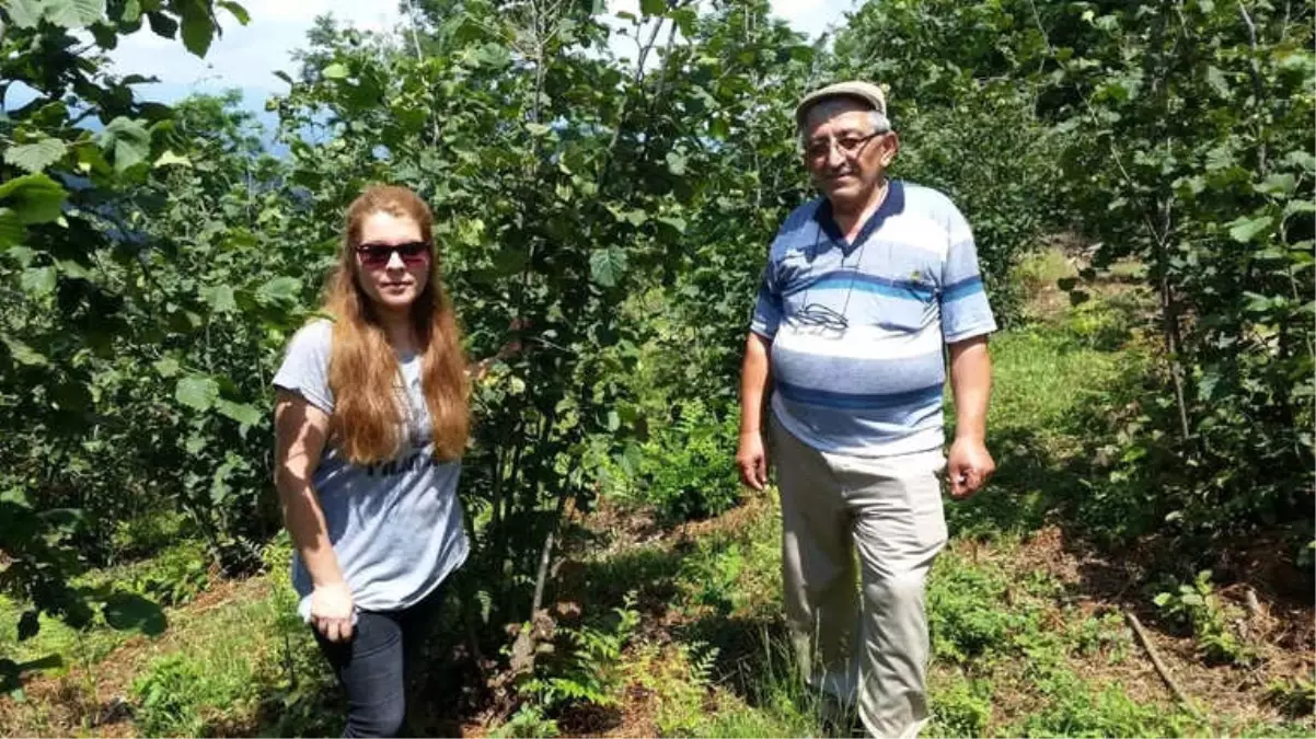 Ziraat Odası Hastalık ve Zararlılarla Mücadele Ediyor