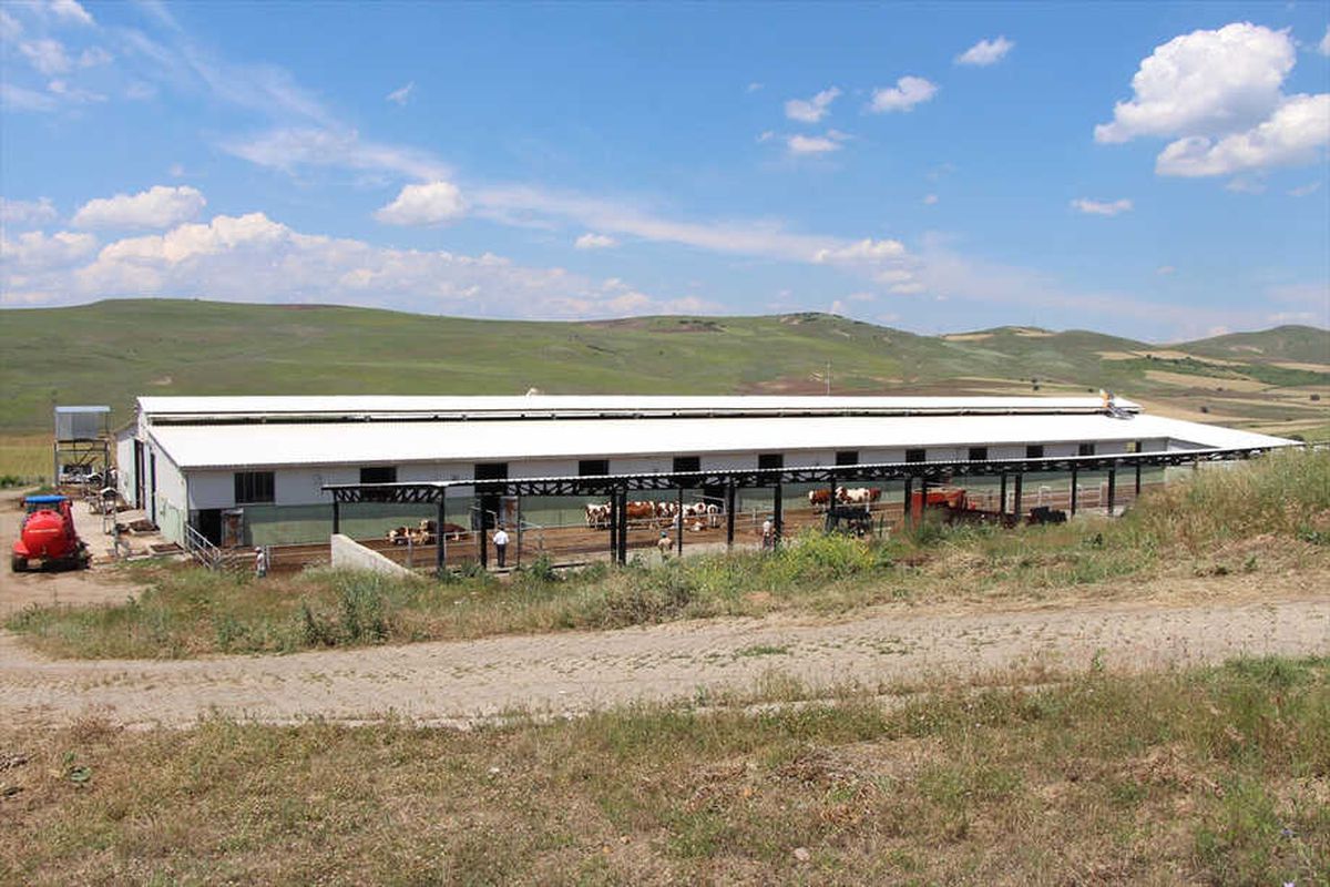 Devletten Aldığı Destekle Köyüne Umut Oldu