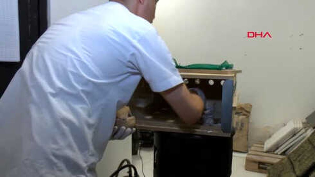 Antalya Wild Park'a Armadillo Geldi