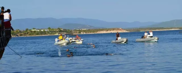 Didim'de Kabotaj Bayramı Etkinliklerle Kutlandı Didim'de Kabotaj Bayramı Etkinliklerle Kutlandı