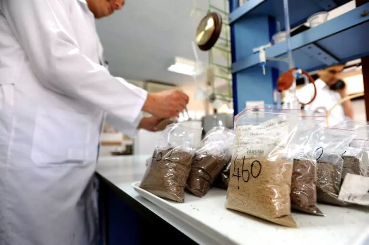 Gübretaş, Ar-Ge Çalışmalarıyla Sektörde Dikkat Çekiyor