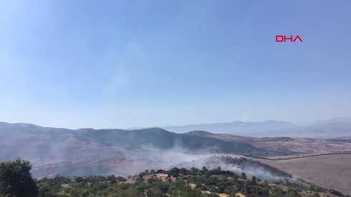 Kahramanmaraş - Anız Yangını Ormana Sıçradı