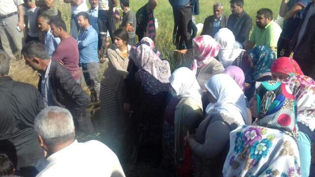 Minik Leyla'nın Cansız Bedeni Bulunduğu Yere Sonradan mı Bırakıldı?