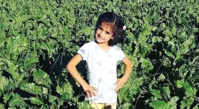 Rüzgar Erkoçlar, Peş Peşe Gelen Çocuk Ölümlerinin Ardından Adalet Bakanlığı'ndan İdam İstedi