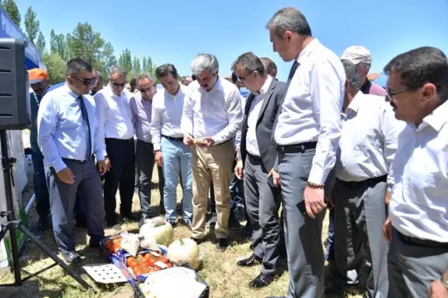 Pınarbaşı'daki Tarla Gününe Büyük İlgi