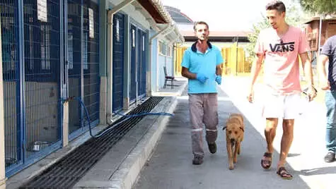 Bursalı 'Can Dost' Artık Almanya'da Yaşacak