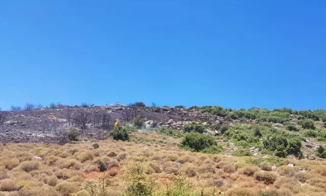Hatay'da Orman Yangını