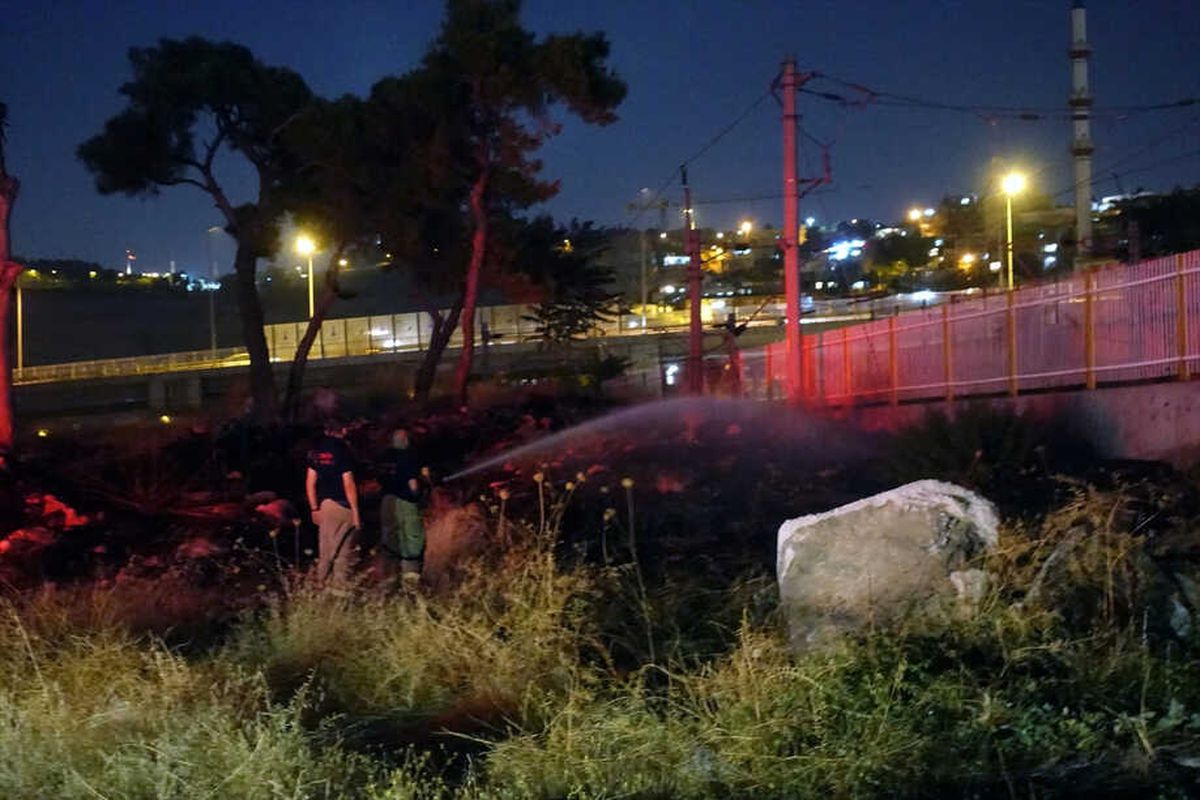 İzmir'de Otluk Alanda Yangın