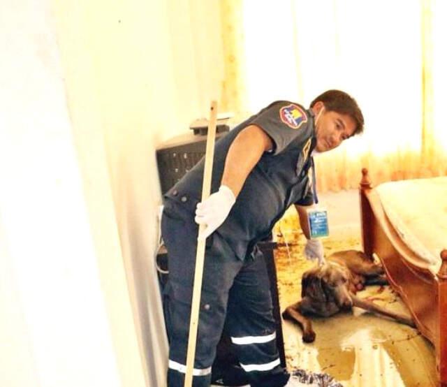 Aç Kalan Köpek, Ölen Sahibinin Suratını Yedi