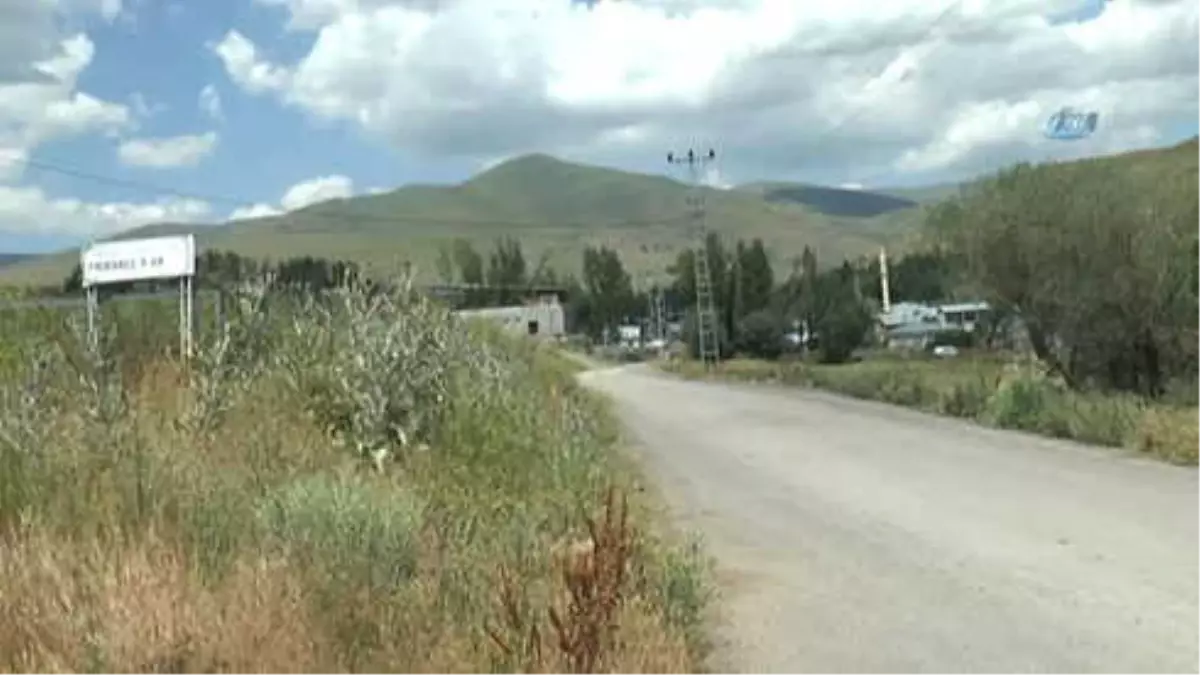 Erzurum'da Aynı Köy de İkinci Ayı Saldırısı