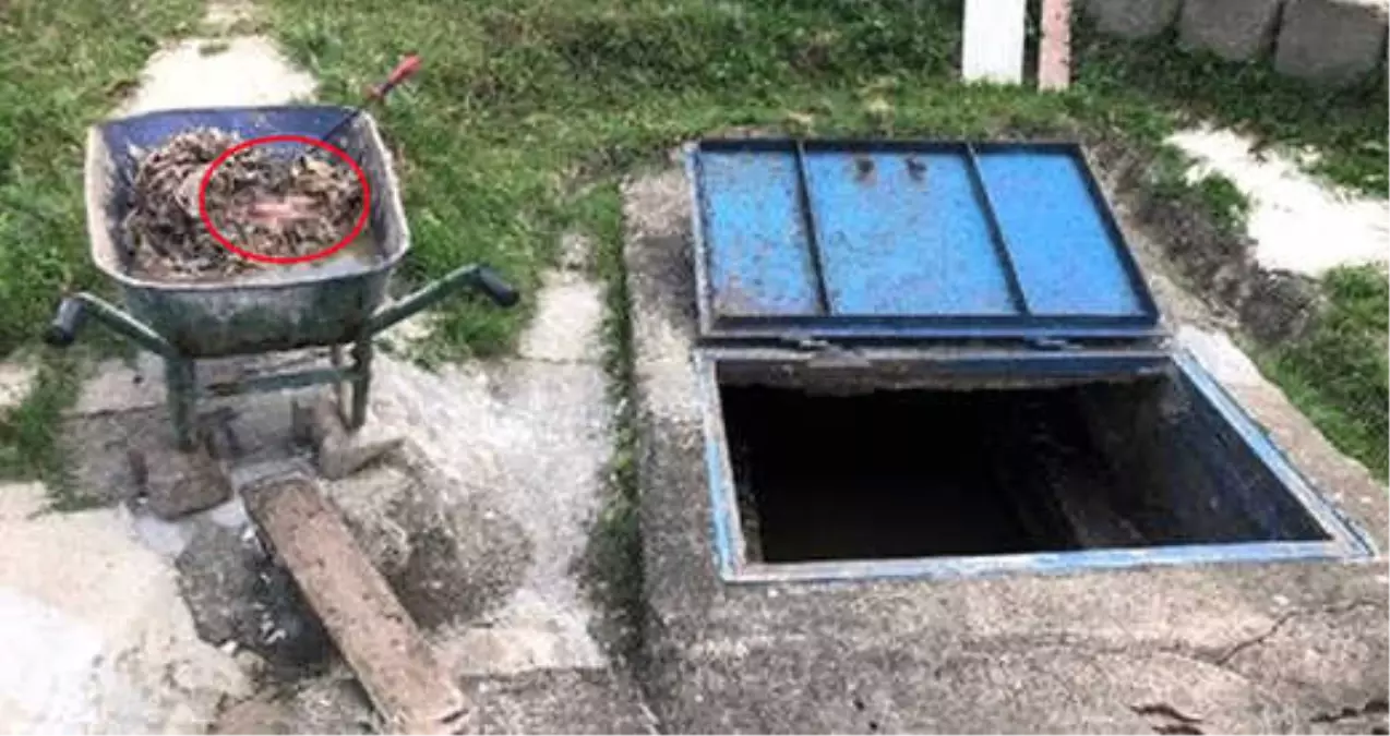 Zonguldak'ta Kanalizasyon İçerisinde Yeni Doğmuş Bebek Cesedi Bulundu