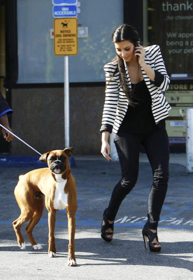 Kim Kardashian, Köpeğine Estetik Ameliyatla Protez Testis Yaptırdı