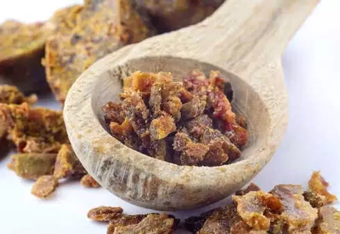 Propolis Nedir, Faydaları Nelerdir?