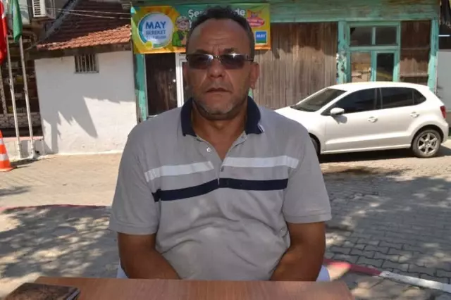 Edirne'de Arı Ölümleri Tedirgin Etti