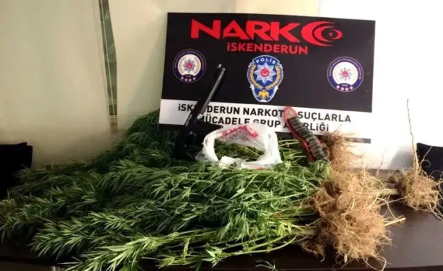 İskenderun'da Uyuşturucu Operasyonları: 7 Gözaltı