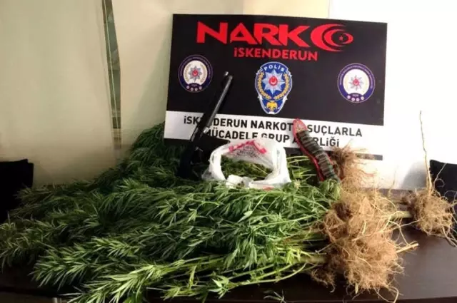 İskenderun'da Uyuşturucu Operasyonları: 7 Gözaltı