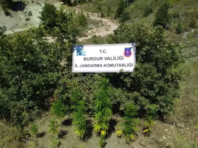 Burdur'da Uyuşturucu Operasyonu: 1 Tutuklama