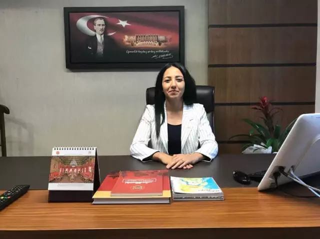 Çelik: