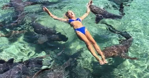 ABD'li Instagram Modeli Fotoğraf Çektirmek İçin Risk Aldı, Köpek Balıklarına Yem Oldu