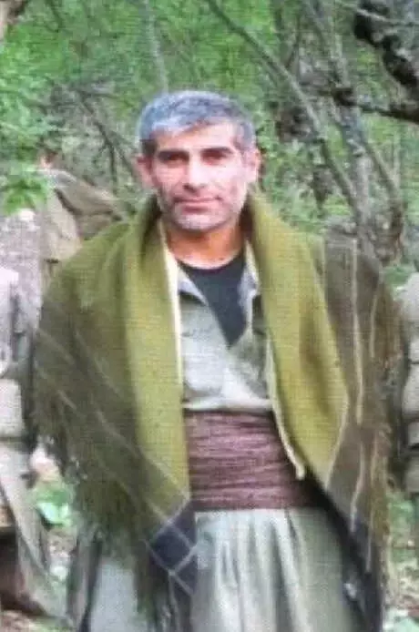 Kırmızı Listeki PKK'lı Terörist, Bitlis'te Öldürüldü