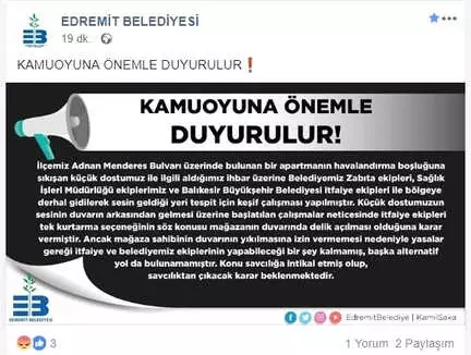 Ölüme Terk Edilen Kedi ile İlgili Açıklama Yapıldı