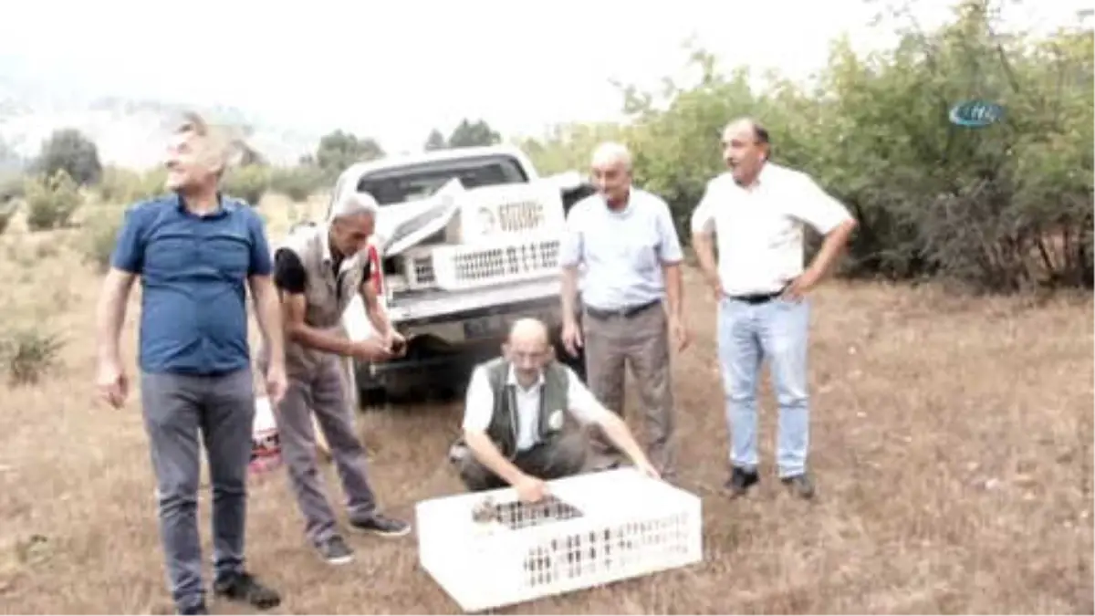 Sarıcakaya'da 200 Keklik Doğaya Salındı