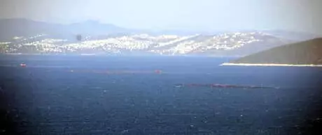 Balık Çiftliklerinin Neden Olduğu Kirlilik Tedirgin Ediyor