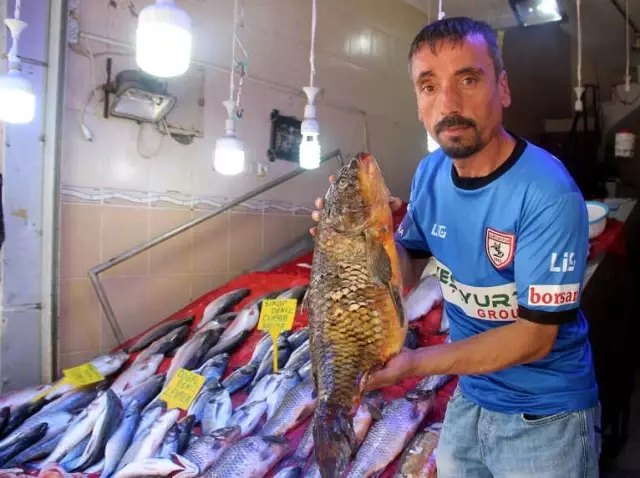 Balıkçılar Palamudun Yolunu Gözlüyor Balıkçılar Palamudun Yolunu Gözlüyor