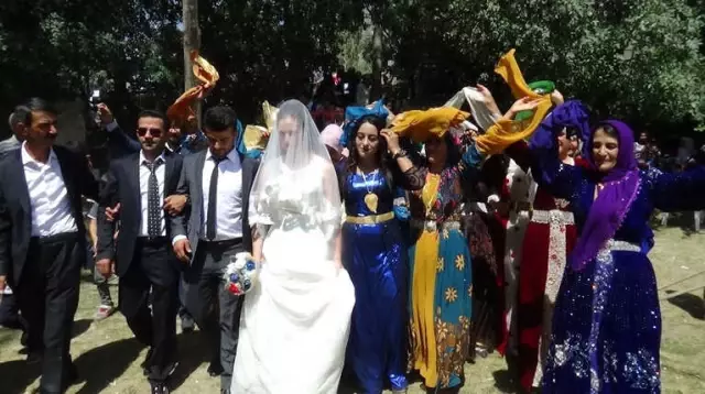 İsviçre'nin Alp Dağlarından Hakkari Dağlarına Gelin
