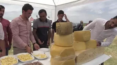 Kars'ta Geleneksel Gravyer ve Kaşar Festivali