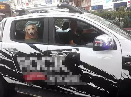 Köpeğine Emniyet Kemeri Takan Sürücüye Polisten Teşekkür