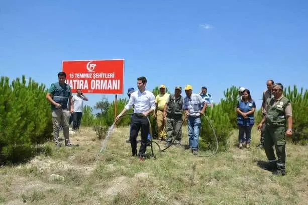 Selendi'de '15 Temmuz Şehitleri Hatıra Ormanı' Oluşturuldu