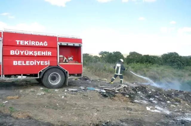 Tekirdağ'da Orman Yangını