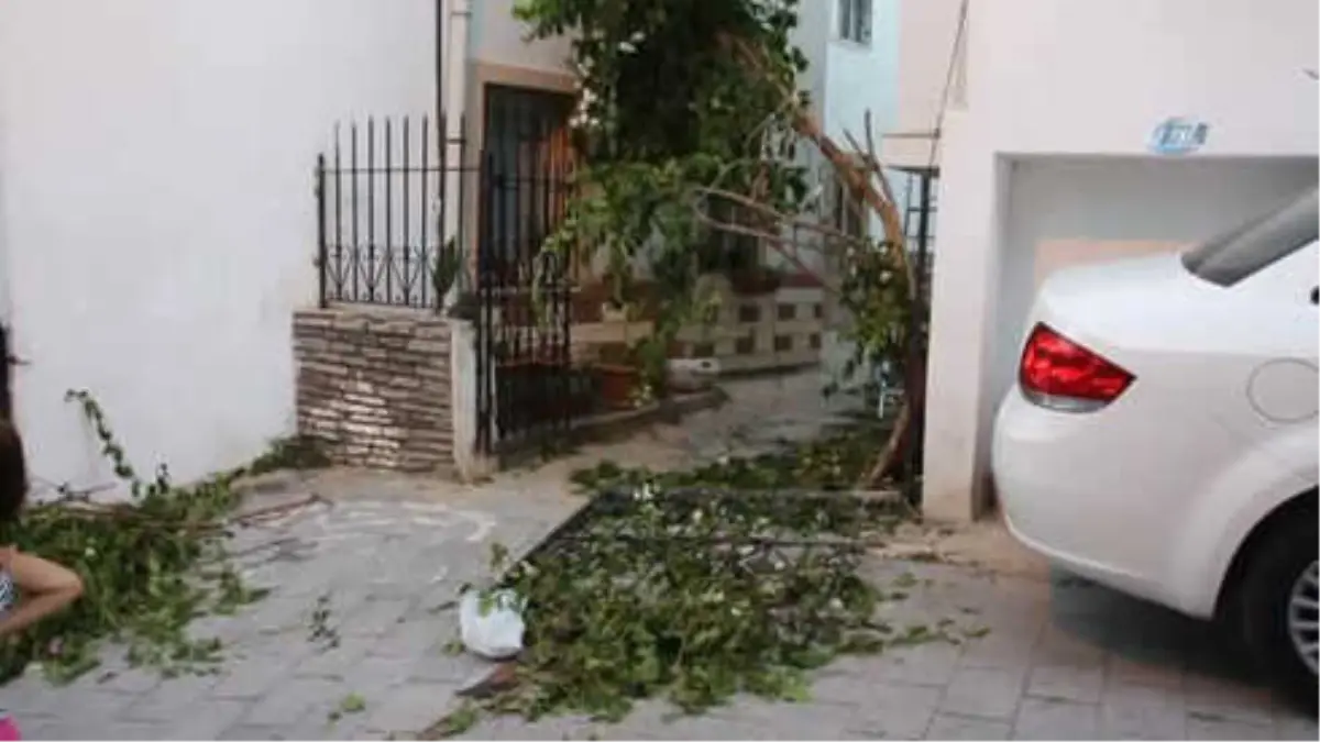 Yüksekten Düşerek Kalbine Demir Saplanan Trafik Polisi Hayatını Kaybetti