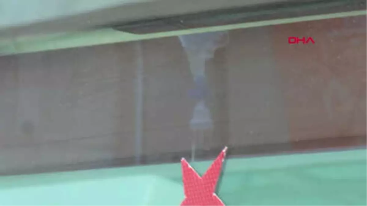 Antalya İllüzyonist Aref'i Kobra Yılanı Isırdı Hd