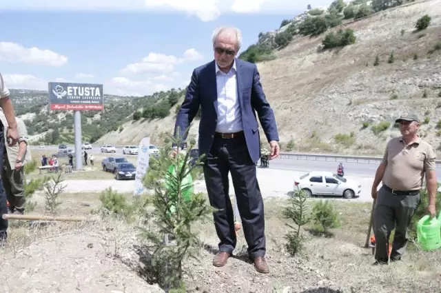 Başkan Saraçoğlu, Fidan Dikip Can Suyu Verdi Başkan Saraçoğlu, Fidan Dikip Can Suyu Verdi