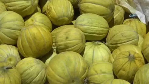 Çorum'un Meşhur '10 Dilim Kavun'u Tezgahta Yerini Aldı Çorum'un Meşhur '10 Dilim Kavun'u Tezgahta Yerini Aldı