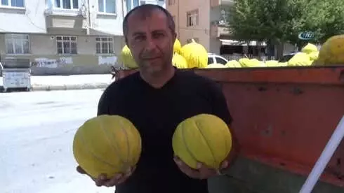 Çorum'un Meşhur '10 Dilim Kavun'u Tezgahta Yerini Aldı Çorum'un Meşhur '10 Dilim Kavun'u Tezgahta Yerini Aldı