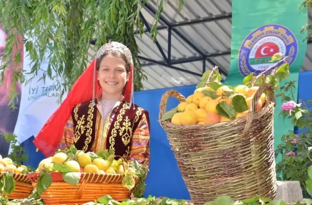 Kahramanmaraş'ta Kayısı Tarla Günü