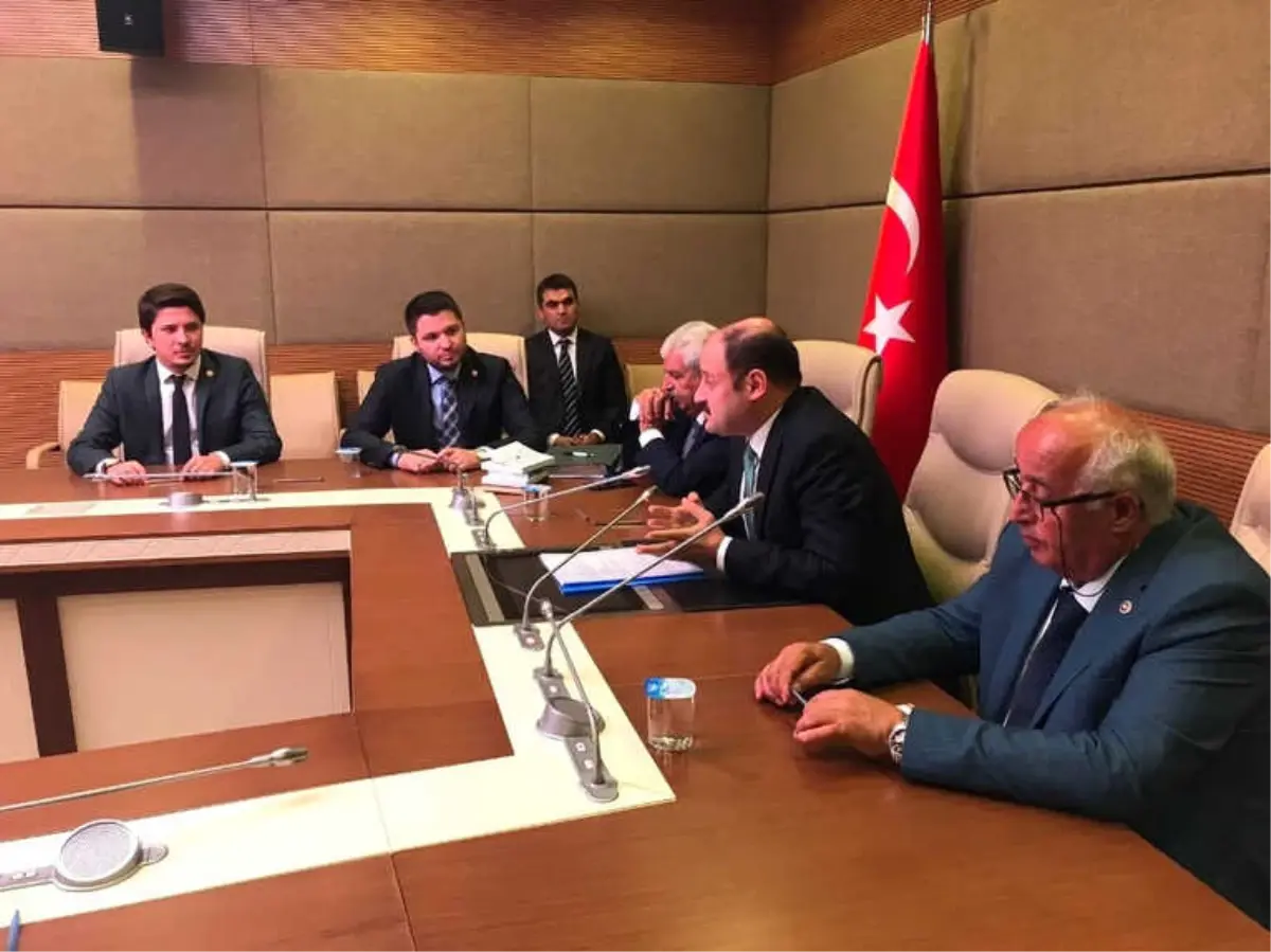 Milletvekili Toprak AB Uyum Komisyonu Üyesi Oldu