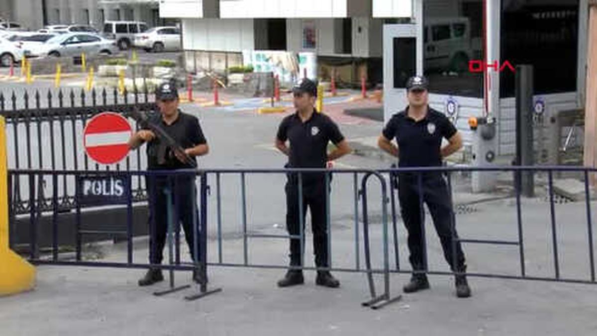 Polis Sordu; Kedicik Cevap Verdi