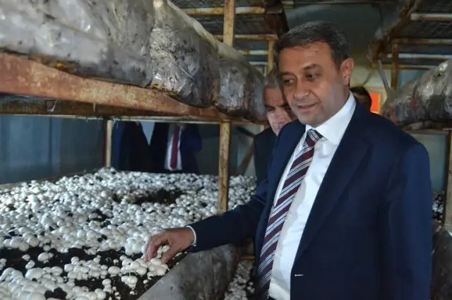 Vali Şıldak: