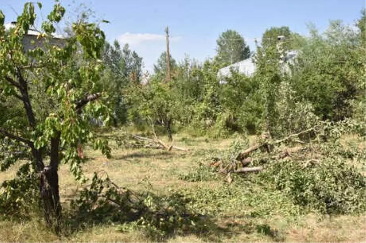 Van'da Teröristlere Yardım ve Yataklığa 6 Tutuklama